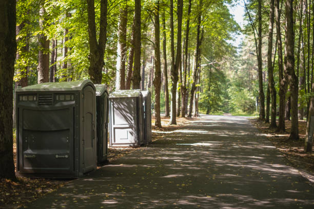 How Our Tree Care Process Works  in  Evergreen, CO